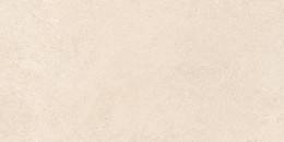 Ashcombe Beige Porcelain Wall & Floor Tile PTV36 300x600mm